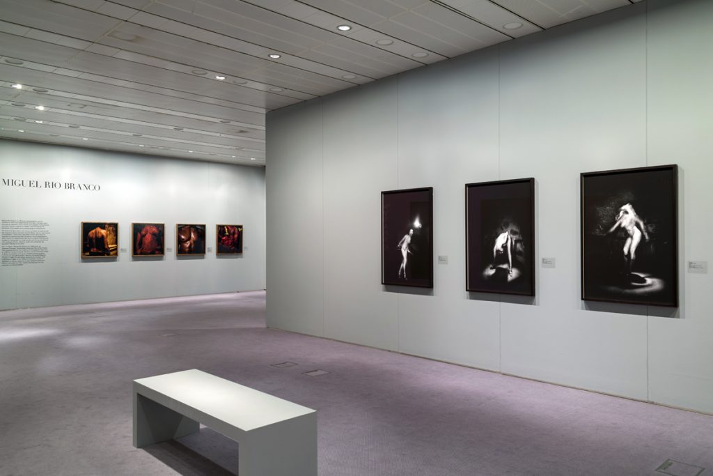 March sees the launch of a major new photography exhibition by Magnum Photos at the Sainsbury Centre, Norwich. The Body Observed will include over 130 works from the 1930s to the present, including the following artists: Eve ArnoldOlivia ArthurWerner BischofAntoine d’AgataBieke DepoorterCristina García RoderoBruce GildenPhilippe HalsmanHerbert ListSusan MeiselasMiguel Rio BrancoAlessandra SanguinettiAlec Soth The exhibition will include archival prints and frames,<span class="goldplus"> + more</span>